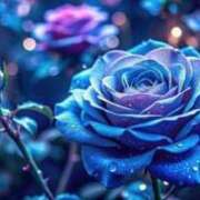 ヒメ日記 2025/05/24 13:34 投稿 新人・真白(ましろ) グランドオペラ福岡