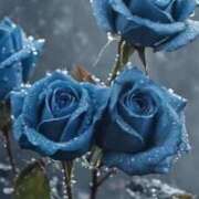 ヒメ日記 2025/05/24 17:31 投稿 新人・真白(ましろ) グランドオペラ福岡