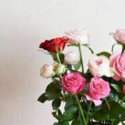 ヒメ日記 2025/05/25 14:11 投稿 新人・真白(ましろ) グランドオペラ福岡