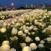 ヒメ日記 2025/05/25 14:22 投稿 新人・真白(ましろ) グランドオペラ福岡