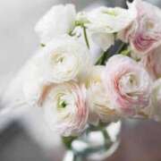 ヒメ日記 2025/05/27 15:02 投稿 新人・真白(ましろ) グランドオペラ福岡