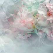 ヒメ日記 2025/05/30 19:51 投稿 新人・真白(ましろ) グランドオペラ福岡