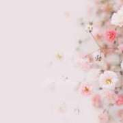 ヒメ日記 2025/05/31 16:06 投稿 新人・真白(ましろ) グランドオペラ福岡