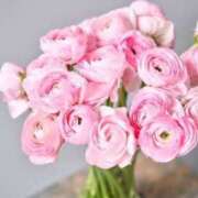 ヒメ日記 2025/05/31 18:02 投稿 新人・真白(ましろ) グランドオペラ福岡