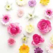 ヒメ日記 2025/05/31 20:51 投稿 新人・真白(ましろ) グランドオペラ福岡