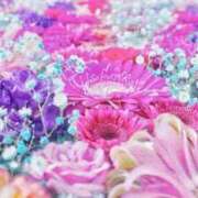 ヒメ日記 2025/06/01 12:30 投稿 新人・真白(ましろ) グランドオペラ福岡