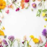 ヒメ日記 2025/06/01 14:41 投稿 新人・真白(ましろ) グランドオペラ福岡