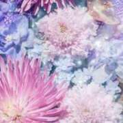 ヒメ日記 2025/06/01 15:51 投稿 新人・真白(ましろ) グランドオペラ福岡