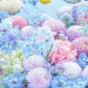 ヒメ日記 2025/06/03 02:56 投稿 新人・真白(ましろ) グランドオペラ福岡