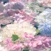 ヒメ日記 2025/06/03 16:21 投稿 新人・真白(ましろ) グランドオペラ福岡