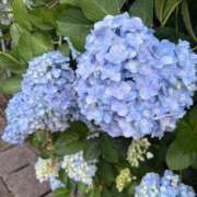 ヒメ日記 2025/06/04 01:47 投稿 新人・真白(ましろ) グランドオペラ福岡