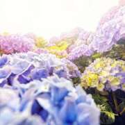 ヒメ日記 2025/06/05 01:21 投稿 新人・真白(ましろ) グランドオペラ福岡