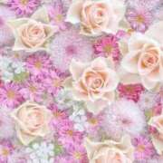 ヒメ日記 2025/06/05 19:51 投稿 新人・真白(ましろ) グランドオペラ福岡