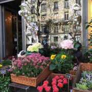 ヒメ日記 2025/06/06 01:51 投稿 新人・真白(ましろ) グランドオペラ福岡