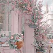 ヒメ日記 2025/06/07 07:01 投稿 新人・真白(ましろ) グランドオペラ福岡