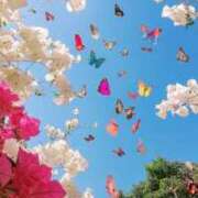 ヒメ日記 2025/06/07 16:28 投稿 新人・真白(ましろ) グランドオペラ福岡