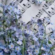 ヒメ日記 2025/06/07 16:51 投稿 新人・真白(ましろ) グランドオペラ福岡