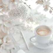 ヒメ日記 2025/06/07 19:21 投稿 新人・真白(ましろ) グランドオペラ福岡