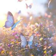 ヒメ日記 2025/06/13 11:45 投稿 新人・真白(ましろ) グランドオペラ福岡