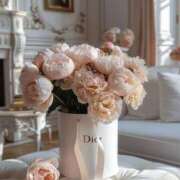 ヒメ日記 2025/06/14 01:47 投稿 新人・真白(ましろ) グランドオペラ福岡