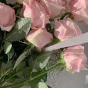 ヒメ日記 2025/06/16 17:51 投稿 新人・真白(ましろ) グランドオペラ福岡