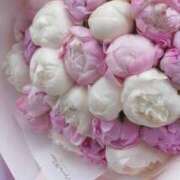 ヒメ日記 2025/06/16 18:21 投稿 新人・真白(ましろ) グランドオペラ福岡