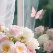 ヒメ日記 2025/06/19 12:31 投稿 新人・真白(ましろ) グランドオペラ福岡