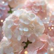 ヒメ日記 2025/06/24 16:18 投稿 新人・真白(ましろ) グランドオペラ福岡