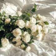 ヒメ日記 2025/06/24 18:01 投稿 新人・真白(ましろ) グランドオペラ福岡