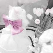 ヒメ日記 2025/06/26 09:25 投稿 新人・真白(ましろ) グランドオペラ福岡