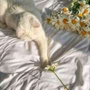 ヒメ日記 2025/06/27 23:28 投稿 新人・真白(ましろ) グランドオペラ福岡