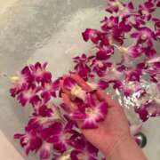 ヒメ日記 2025/06/28 16:08 投稿 新人・真白(ましろ) グランドオペラ福岡