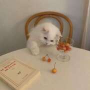 ヒメ日記 2025/06/29 01:01 投稿 新人・真白(ましろ) グランドオペラ福岡