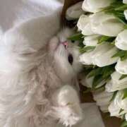 ヒメ日記 2025/07/02 12:51 投稿 新人・真白(ましろ) グランドオペラ福岡