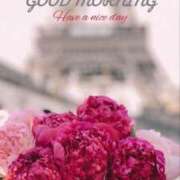 ヒメ日記 2025/07/06 08:41 投稿 新人・真白(ましろ) グランドオペラ福岡