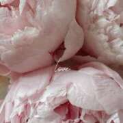 ヒメ日記 2025/07/14 16:41 投稿 新人・真白(ましろ) グランドオペラ福岡