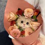 ヒメ日記 2025/07/24 14:54 投稿 新人・真白(ましろ) グランドオペラ福岡