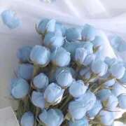 ヒメ日記 2025/07/24 21:29 投稿 新人・真白(ましろ) グランドオペラ福岡