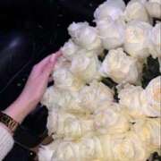 ヒメ日記 2025/07/29 03:11 投稿 新人・真白(ましろ) グランドオペラ福岡