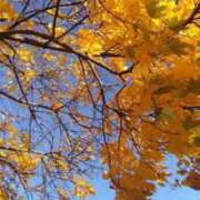 新人・真白(ましろ) 秋はコレ🍂 グランドオペラ福岡