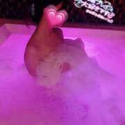 ヒメ日記 2025/04/21 18:25 投稿 らんか チューリップ姫路店