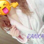 ヒメ日記 2025/05/28 09:20 投稿 らんか チューリップ姫路店