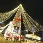 なみ なみ（エコ天王寺店） スピードエコ天王寺店