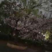 なみ なみ（エコ天王寺店） スピードエコ天王寺店