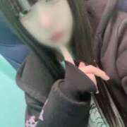 ヒメ日記 2025/04/12 04:20 投稿 みさ プリコレ（PRINCESS COLLECTION）