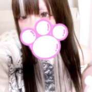 ヒメ日記 2025/04/14 23:04 投稿 みさ プリコレ（PRINCESS COLLECTION）