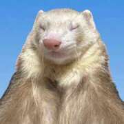 ヒメ日記 2025/09/03 01:52 投稿 みさ プリコレ（PRINCESS COLLECTION）