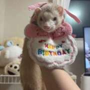 ヒメ日記 2025/09/13 23:21 投稿 みさ プリコレ（PRINCESS COLLECTION）