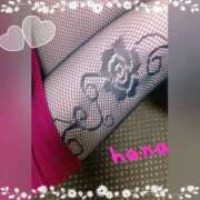 ヒメ日記 2025/04/24 00:14 投稿 はな Club Paradise（クラブパラダイス）