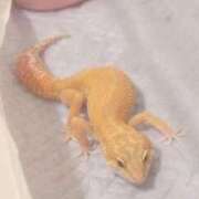 ヒメ日記 2025/06/20 10:52 投稿 みさ Delyz（デリーズ）